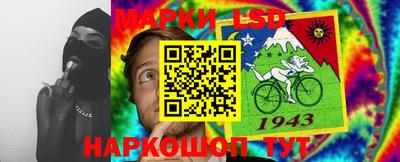 эйфоретик Донской