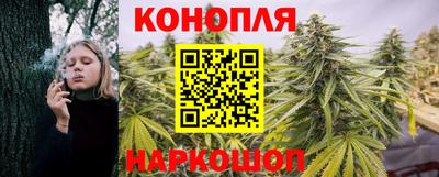 эйфоретик Донской