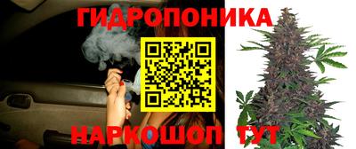 сатива Донецк