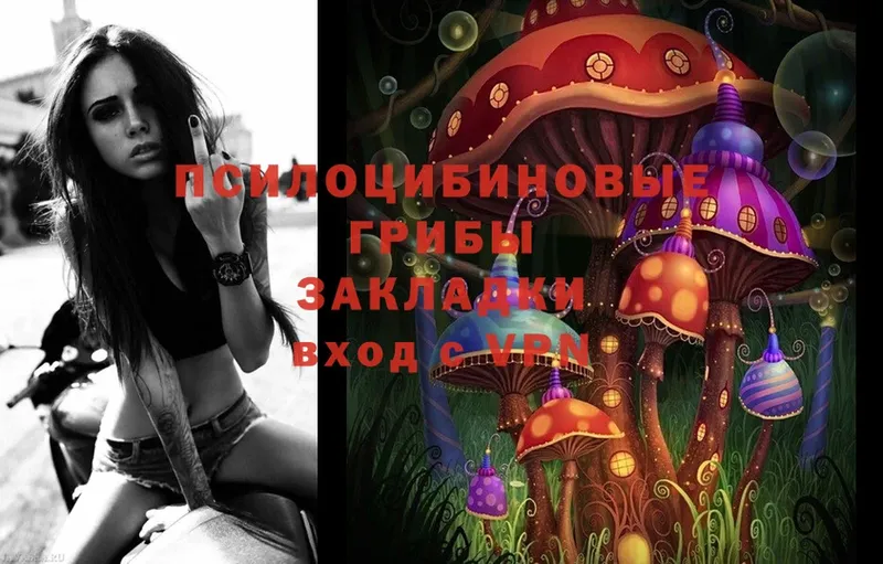 Галлюциногенные грибы MAGIC MUSHROOMS  Красноярск 