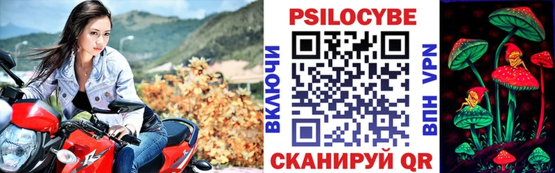 Галлюциногенные грибы GOLDEN TEACHER  Красноярск 
