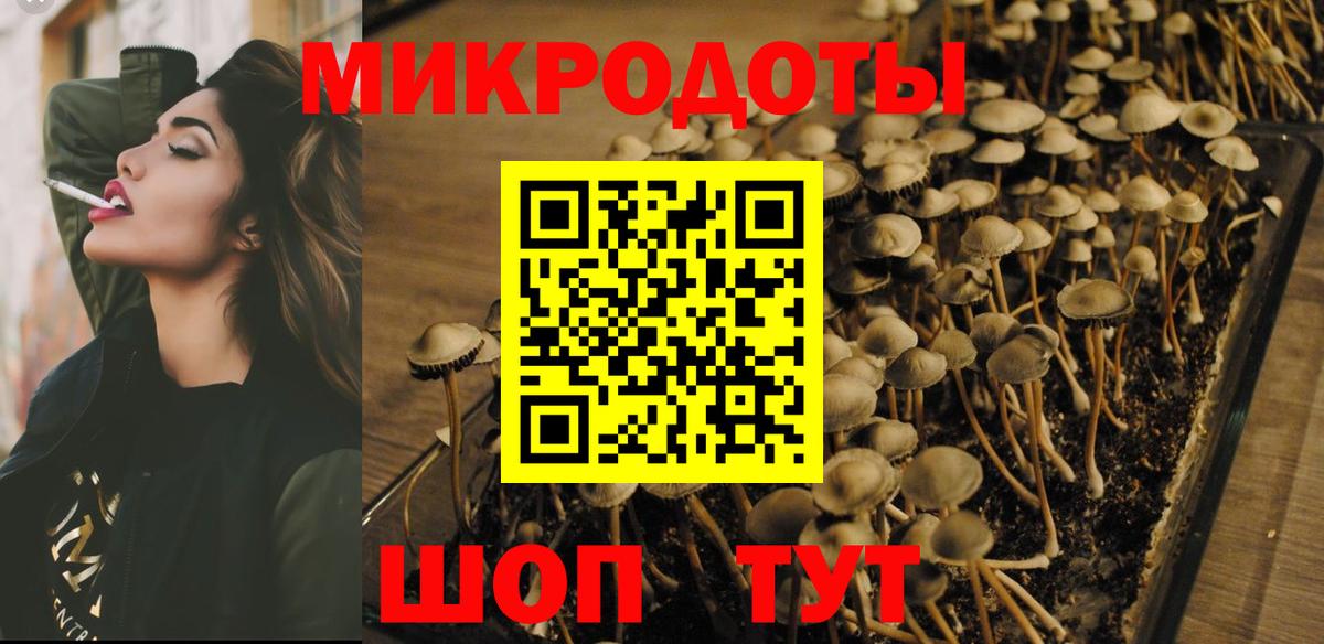 Псилоцибиновые грибы мухоморы  Красноярск  Псилоцибиновые грибы Psilocybine cubensis 