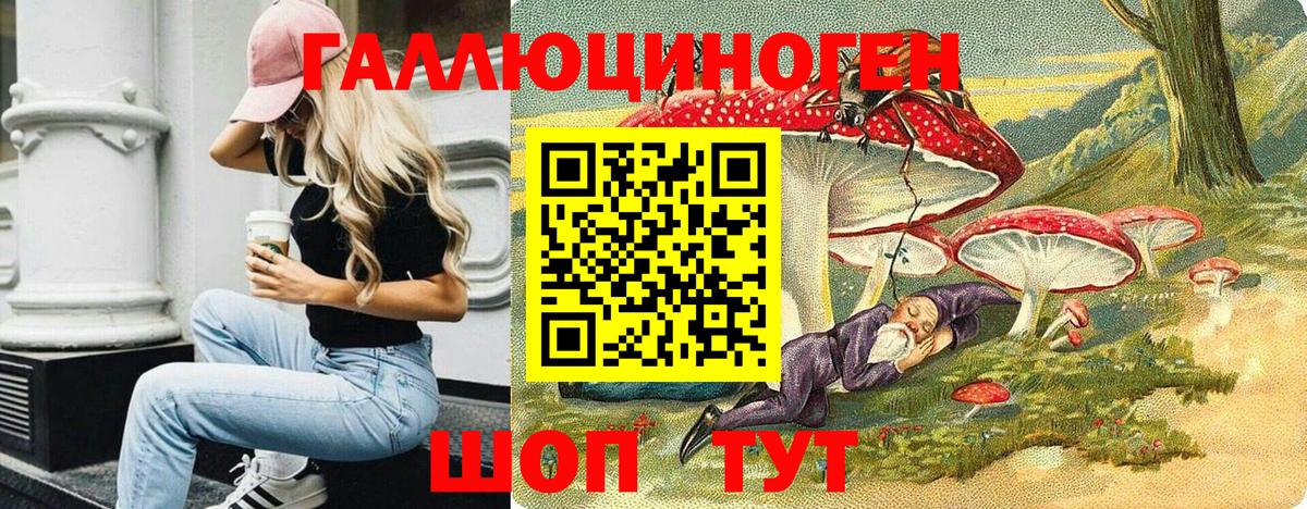 Псилоцибиновые грибы Psilocybine cubensis Красноярск